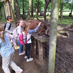 Children stroke a stag with huge antlers