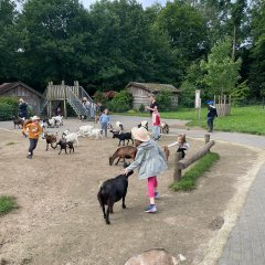 Children in the petting zoo