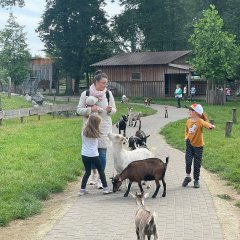 Children in the petting zoo