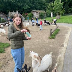 Children in the petting zoo