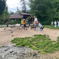 Children in the petting zoo