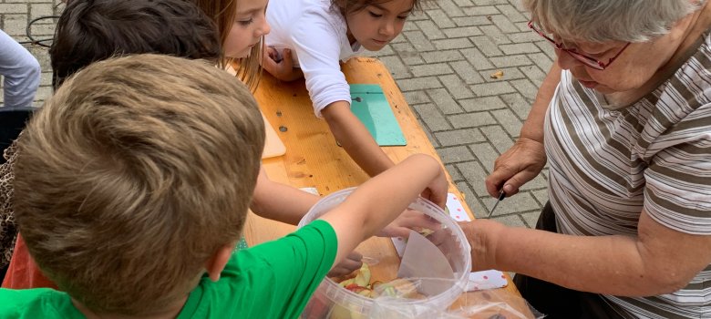 Los niños cortan las manzanas en trozos pequeños