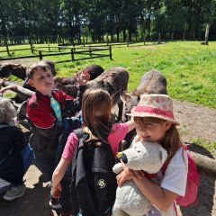 Niños en el recinto de los burros