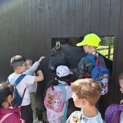 Les enfants caressent les ânes