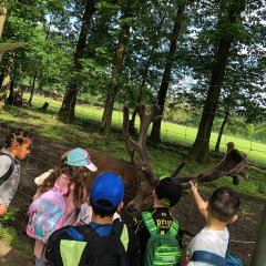 Les enfants au parc à gibier