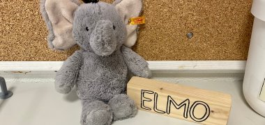 Eléphant en peluche